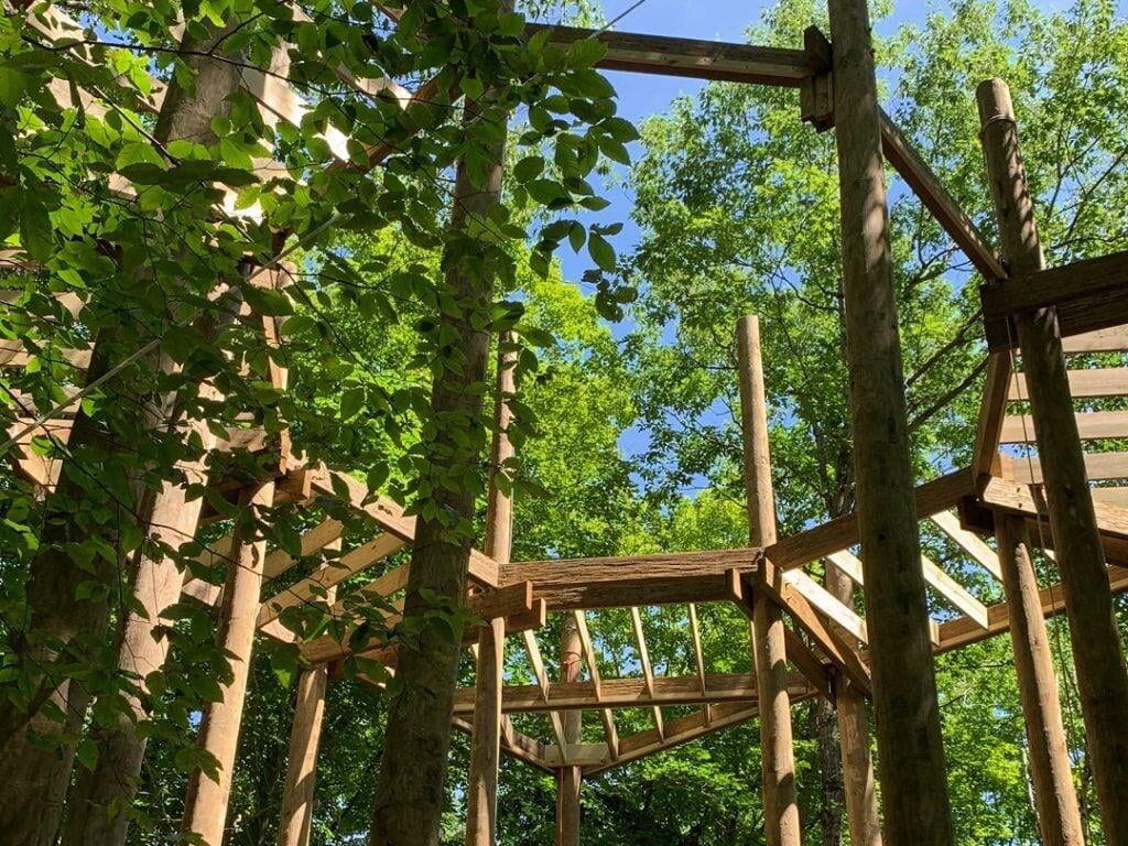 Construction of a Forest Canopy Walk