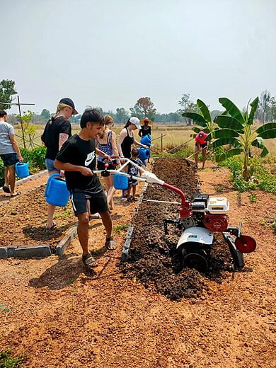 A new vegetable patch is created